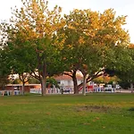 Albergue Zaragoza Camping * Saragosse