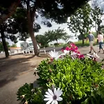 Albergue Zaragoza Camping Hostal