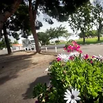 Albergue Zaragoza Camping Auberge de jeunesse Saragosse