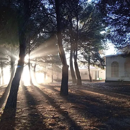 Hostel Albergue Zaragoza Camping Zaragoza