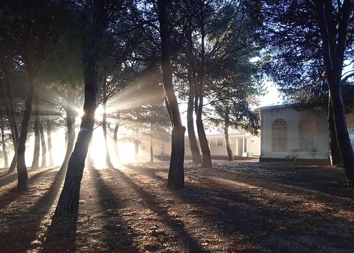 Hostel Albergue Zaragoza Camping Zaragoza