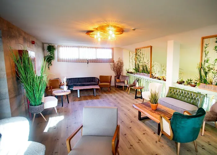 Albergue Zaragoza Camping Zaragoza