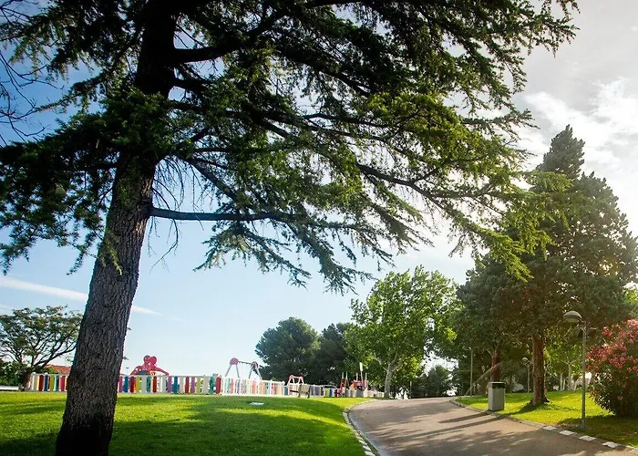 Albergue Zaragoza Camping Hostel