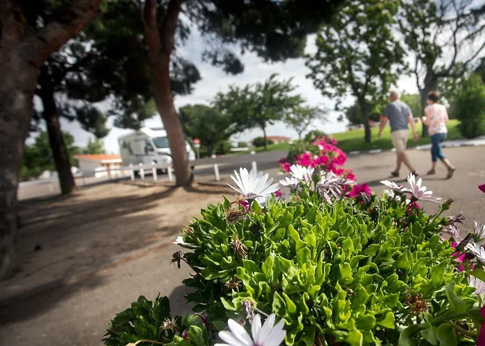 Albergue Zaragoza Camping Hostel