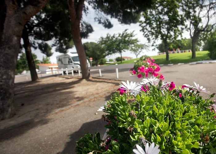 Albergue Zaragoza Camping Hostel Saragossa